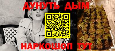 индика Ипатово