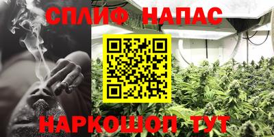 индика Ипатово