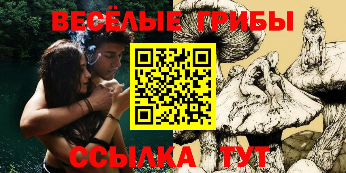 Михайловск  Псилоцибиновые грибы Magic Shrooms  Вход с VPN 